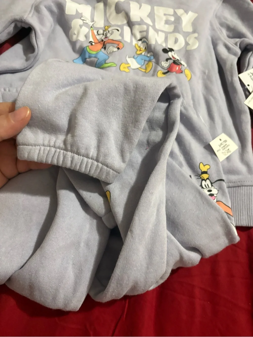 Disney Lavender Mickey & Friends Sweatshirt and Joggers Set